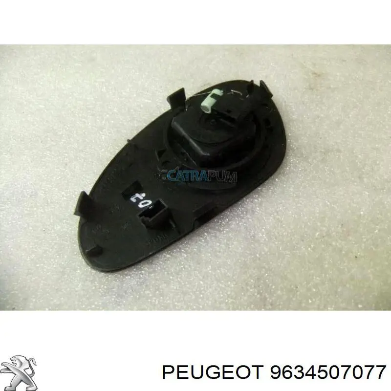 9634507077 Peugeot/Citroen 