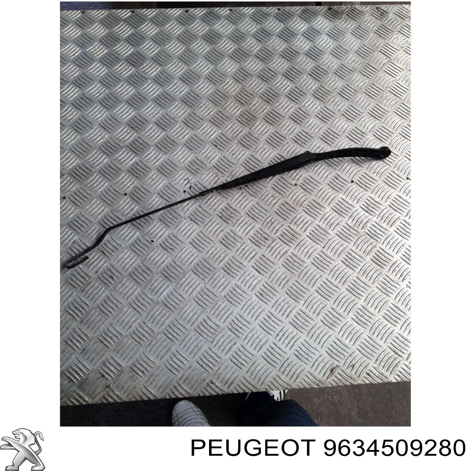 9634509280 Peugeot/Citroen 