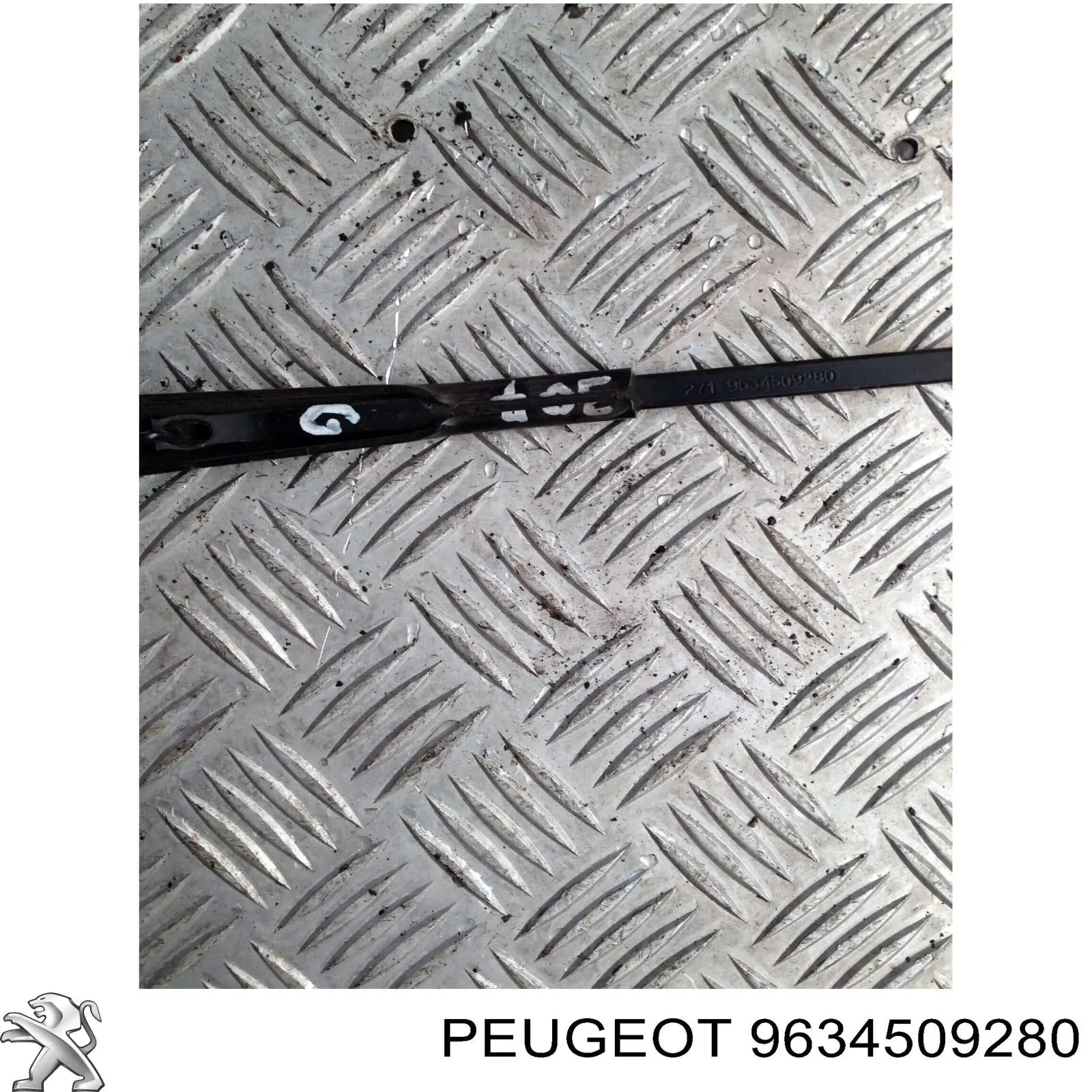 Купити 9634509280 Peugeot/Citroen 