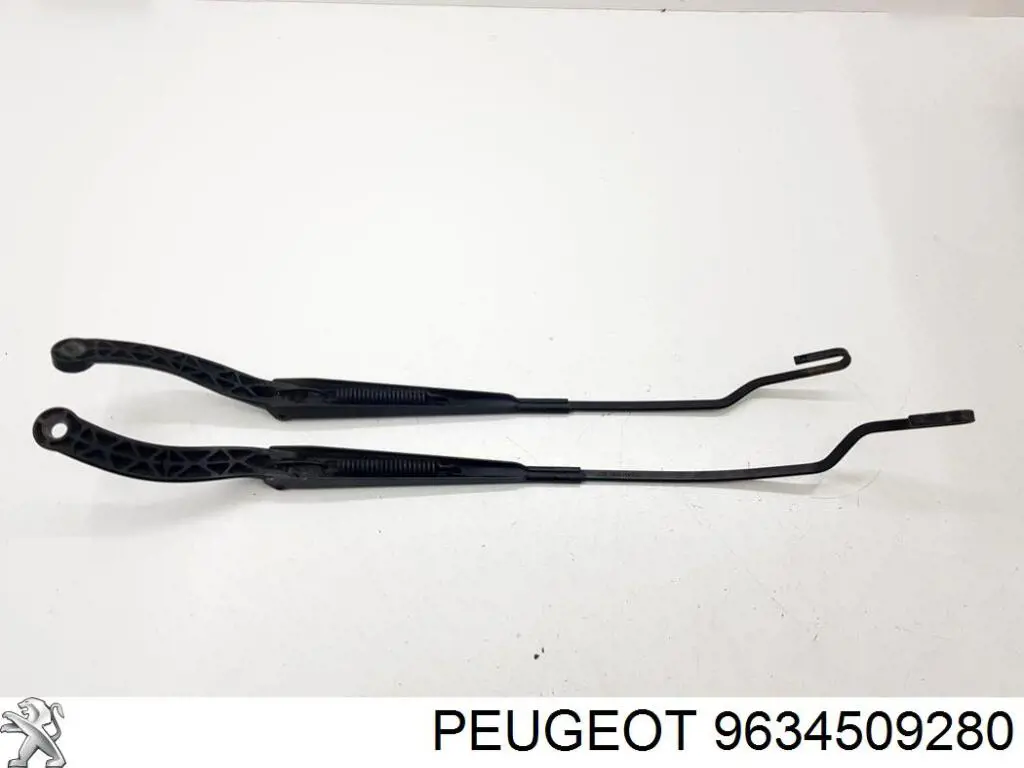  9634509280 Peugeot/Citroen