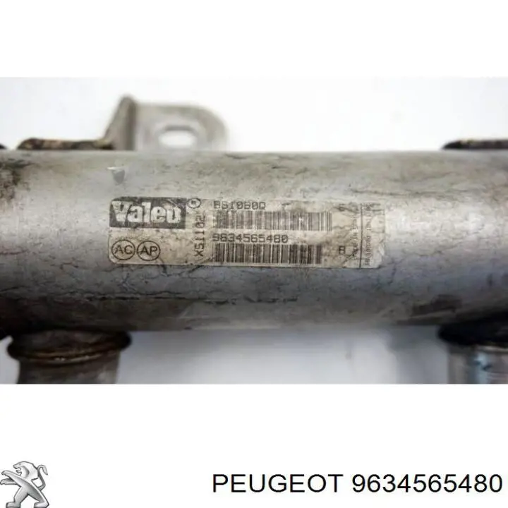 9634565480 Peugeot/Citroen 