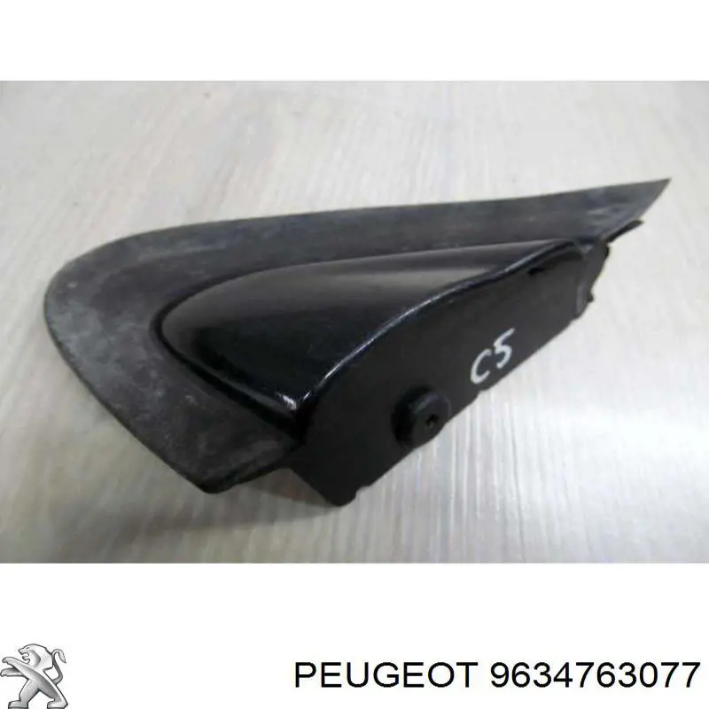 9634763077 Peugeot/Citroen 
