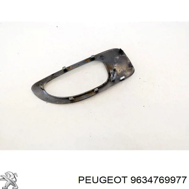 9634769977 Peugeot/Citroen 