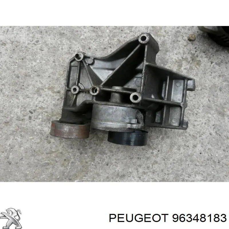 Купити 96348183 Peugeot/Citroen 