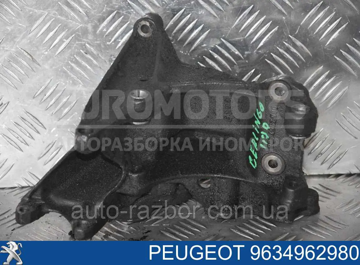 9634962980 Peugeot/Citroen