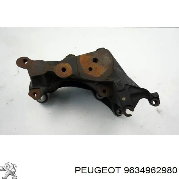 Купити 9634962980 Peugeot/Citroen 
