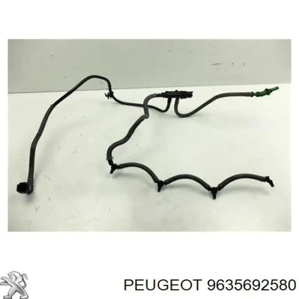 9635692580 Peugeot/Citroen датчик ТНВТ