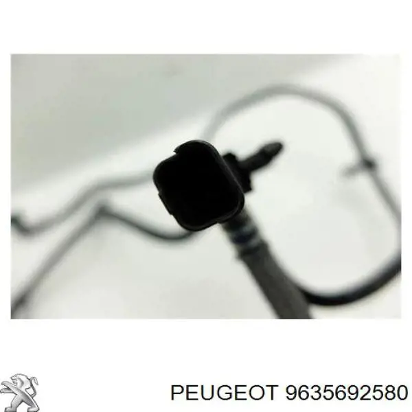 Датчик температури палива 9635692580 Peugeot/Citroen