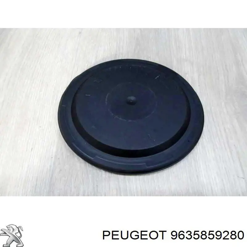  9635859280 Peugeot/Citroen