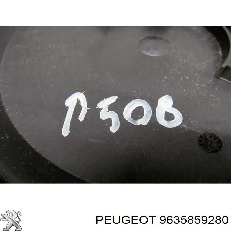 9635859280 Peugeot/Citroen 