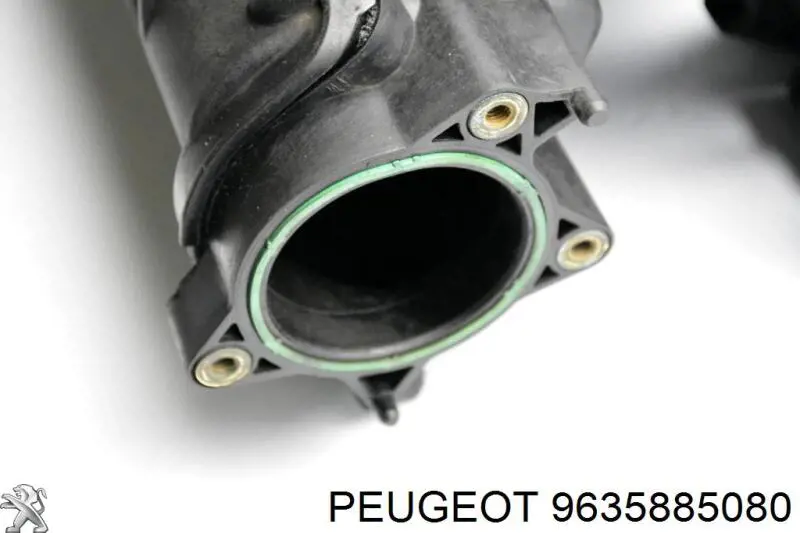  Peugeot/Citroen 9635885080