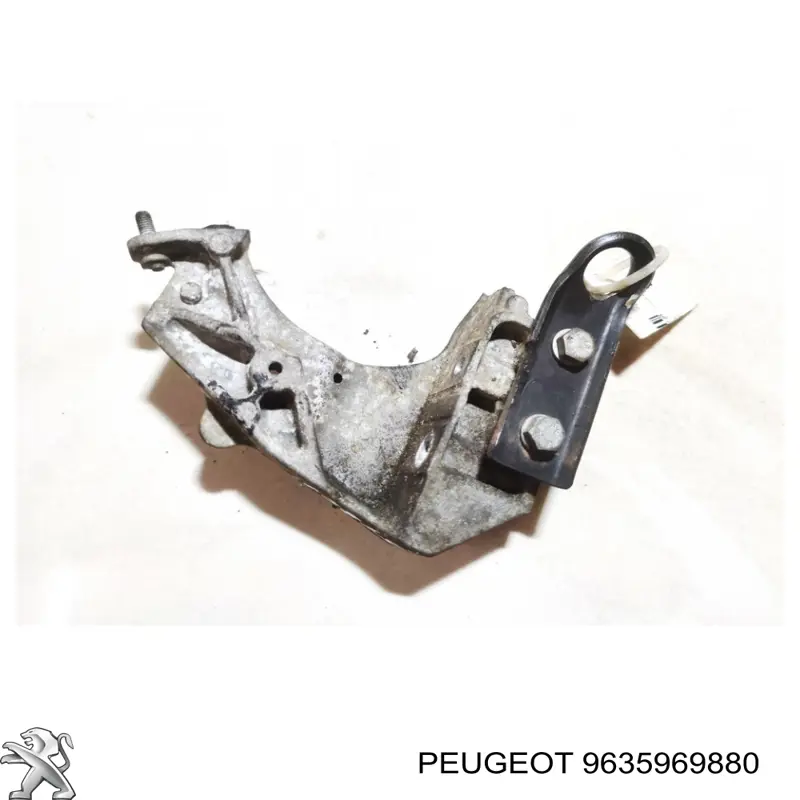 9635969880 Peugeot/Citroen 