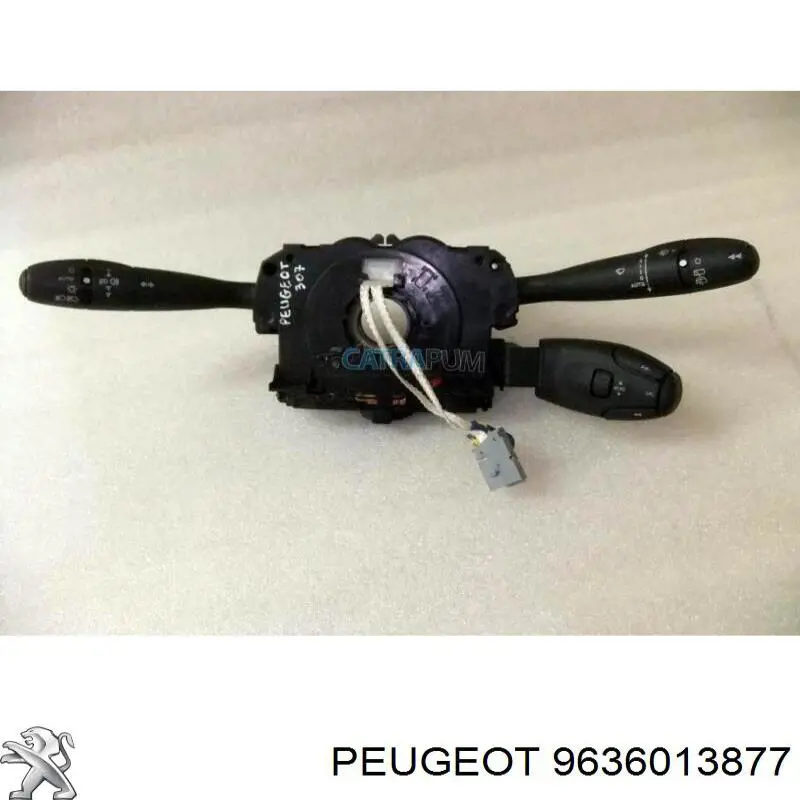 9636013877 Peugeot/Citroen 