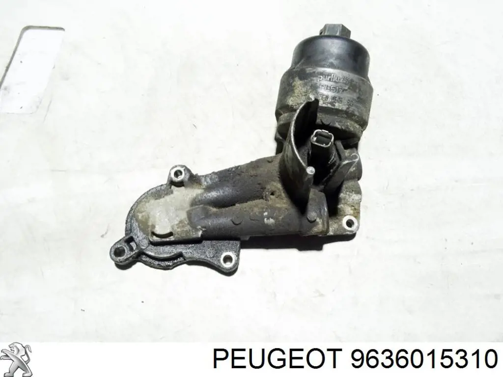 Купити 9636015310 Peugeot/Citroen 