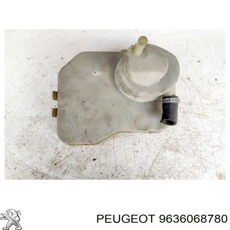 9636068780 Peugeot/Citroen 