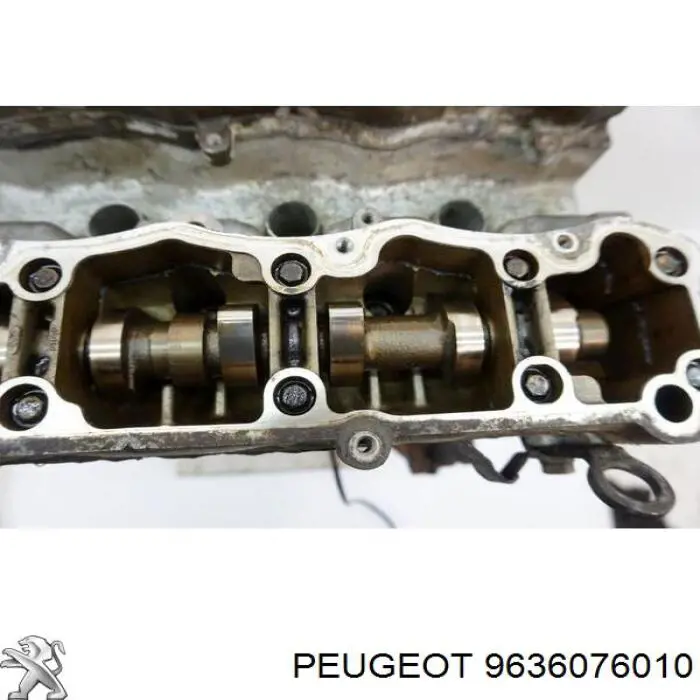 9636076010 Peugeot/Citroen 