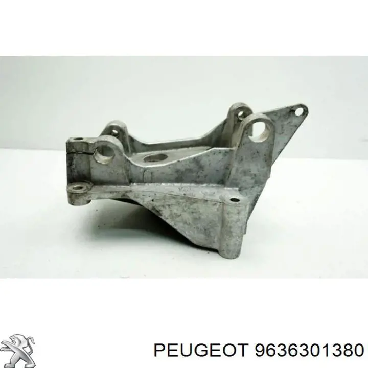 9636301380 Peugeot/Citroen 