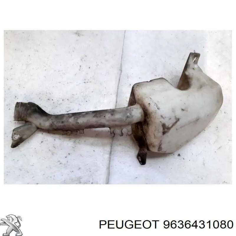 9636431080 Peugeot/Citroen 
