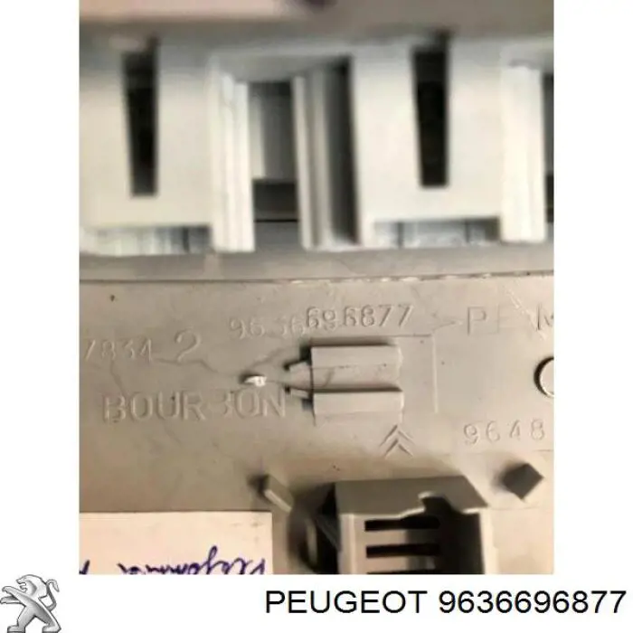 9636696877 Peugeot/Citroen 