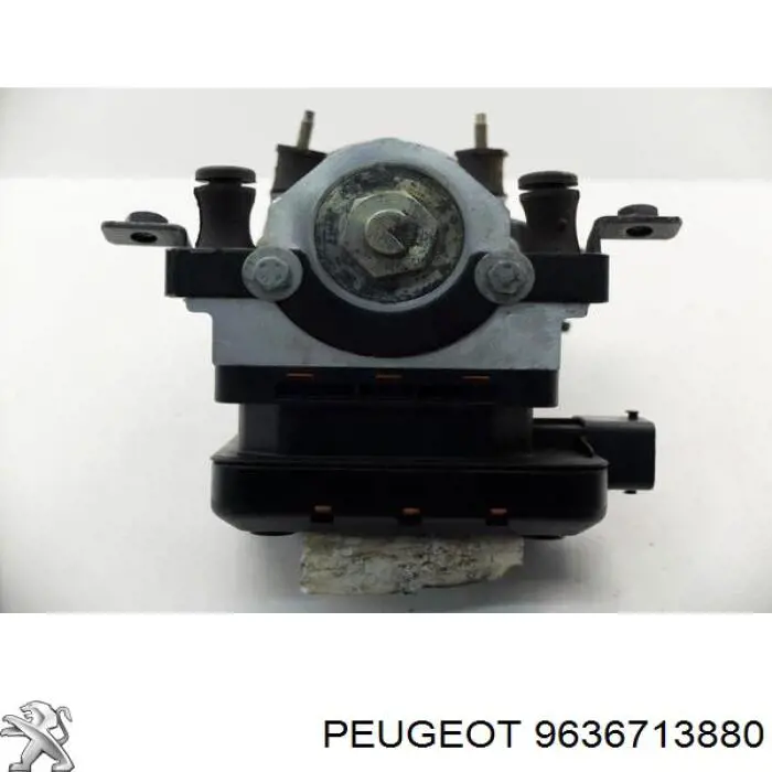  9636713880 Peugeot/Citroen