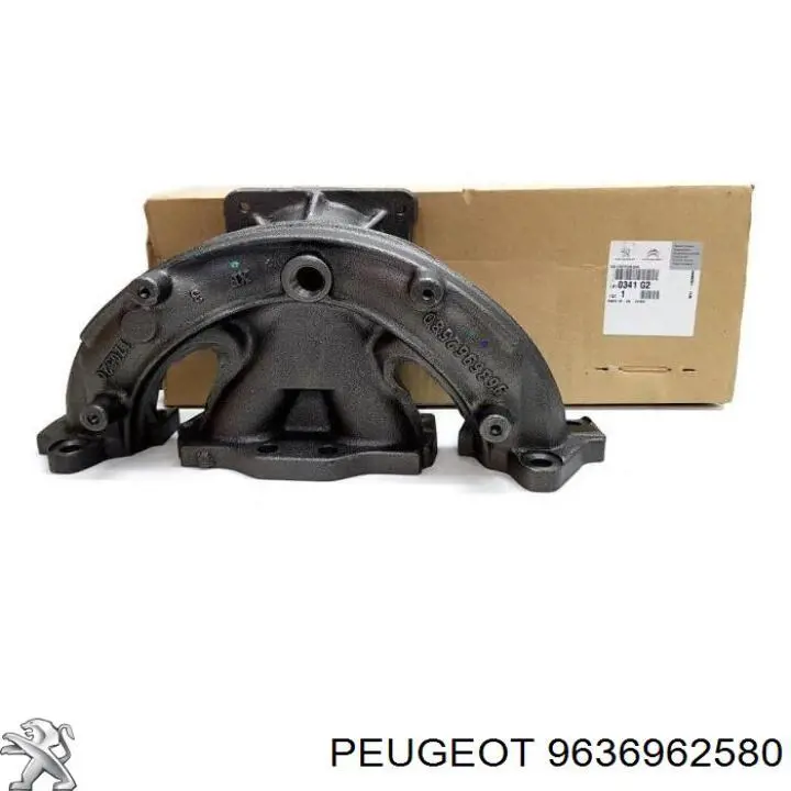 9636962580 Peugeot/Citroen 