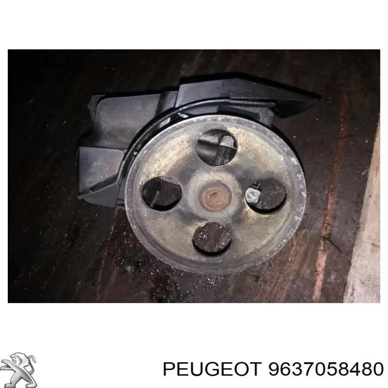 PE021PUL MSG 