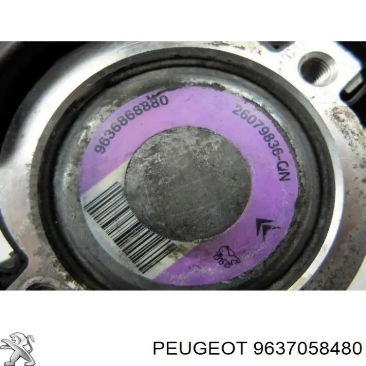  MSG PE021PUL ціна, від 1.51 USD