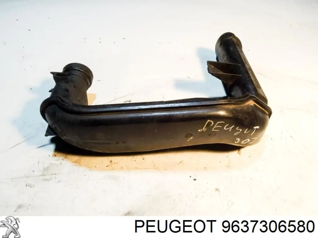 9637306580 Peugeot/Citroen 