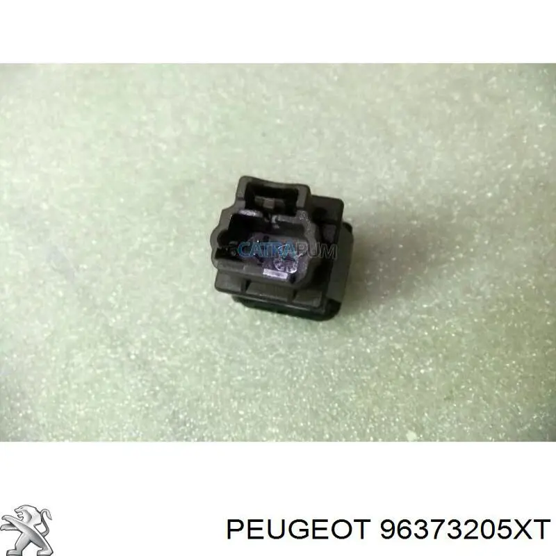 Купити 96373205XT Peugeot/Citroen 