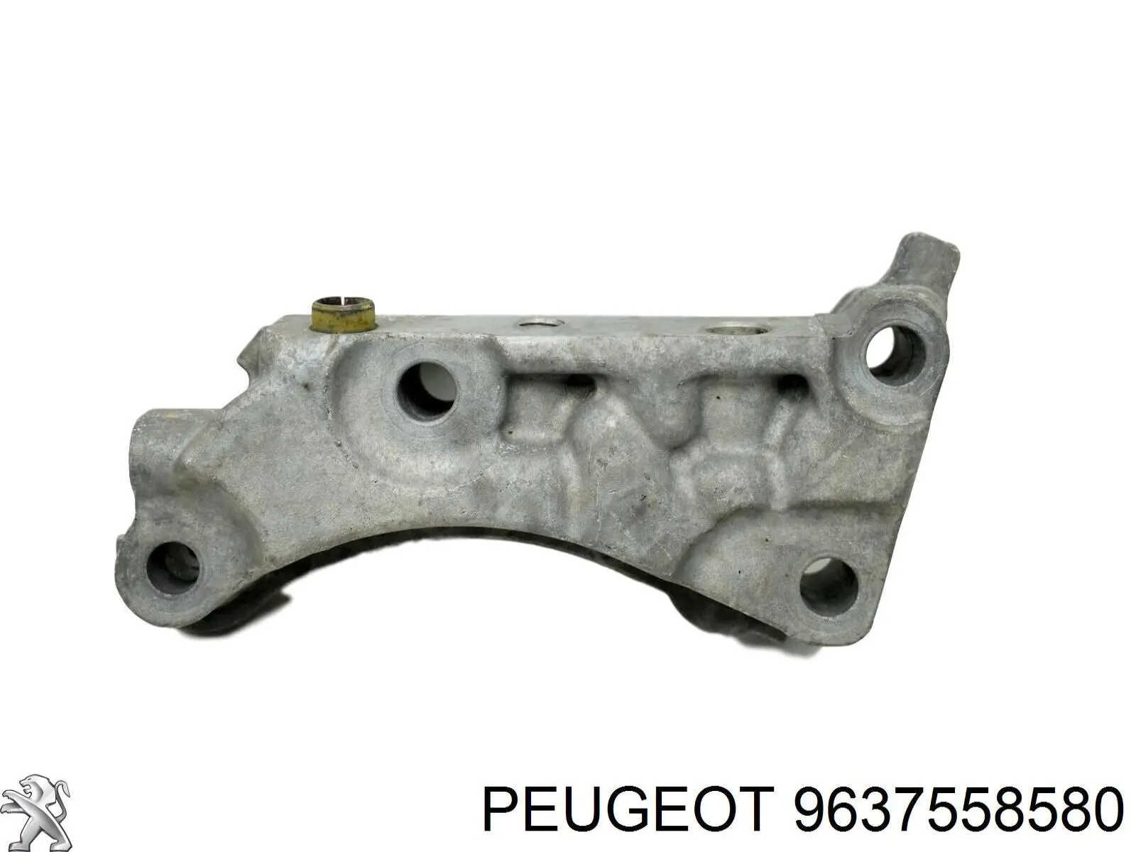 9637558580 Peugeot/Citroen 