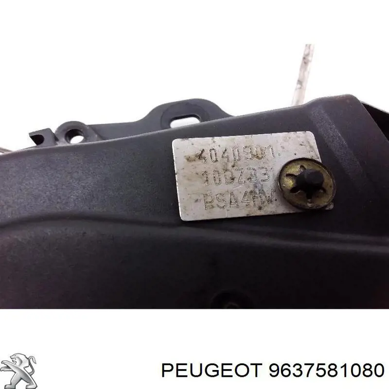 9637581080 Peugeot/Citroen 