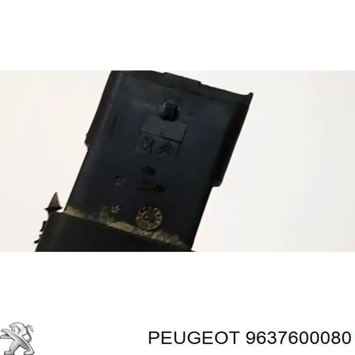  9637600080 Peugeot/Citroen
