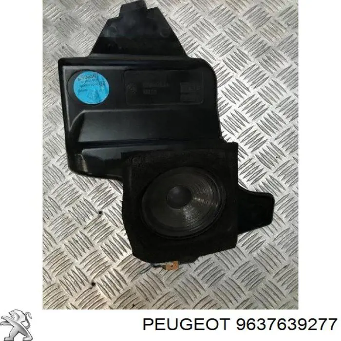  9637639277 Peugeot/Citroen