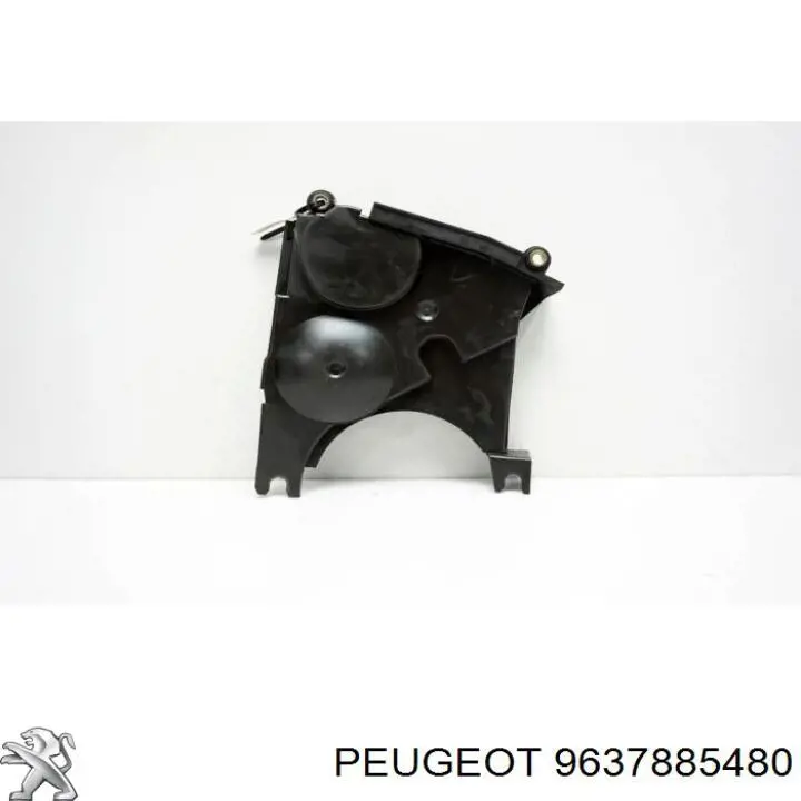 9637885480 Peugeot/Citroen 