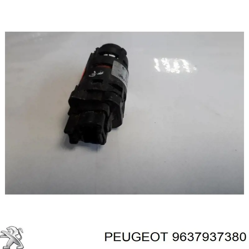 9637937380 Peugeot/Citroen 