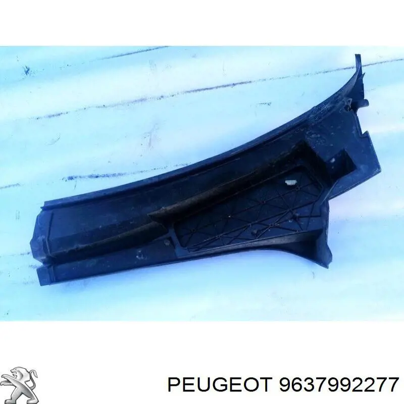 9637992277 Peugeot/Citroen 