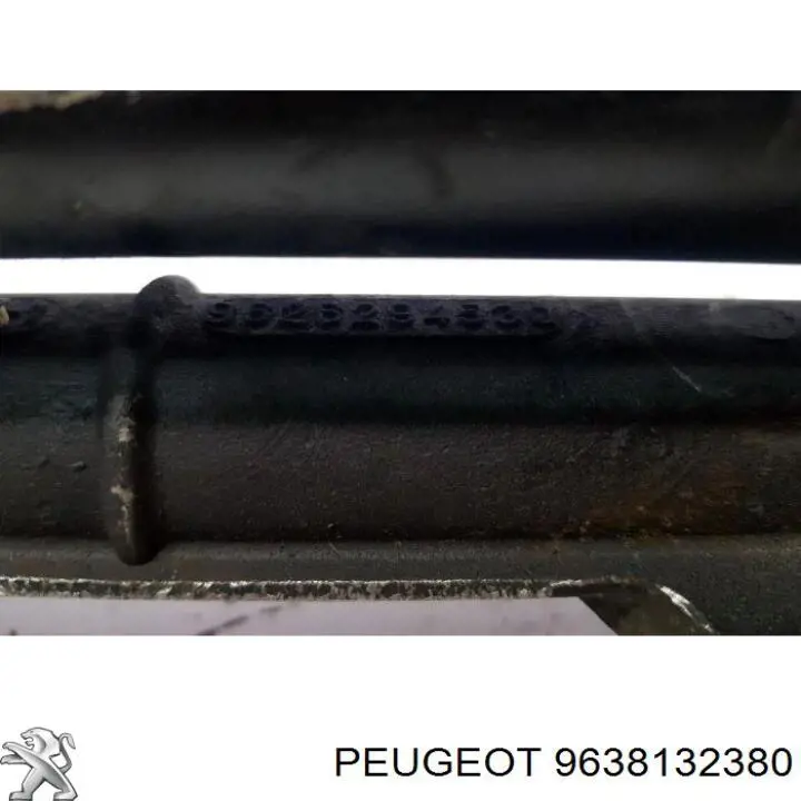  Peugeot/Citroen 9638132380 ціна, від 140.60 USD