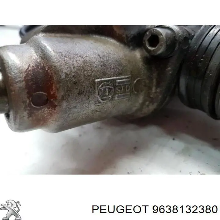  Peugeot/Citroen 9638132380