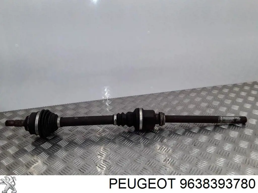 Купити 9638393780 Peugeot/Citroen 