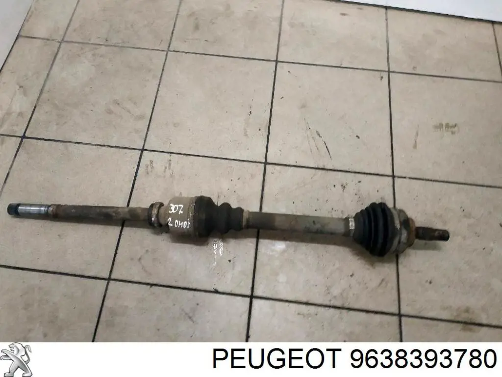  9638393780 Peugeot/Citroen