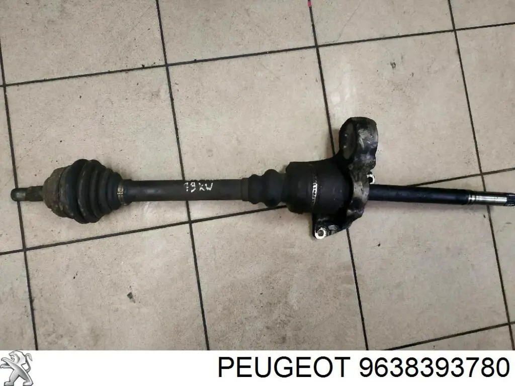 9638393780 Peugeot/Citroen 