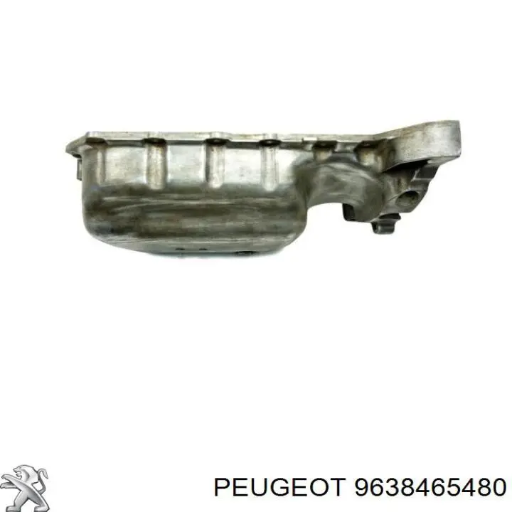  9638465480 Peugeot/Citroen