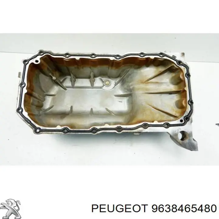 9638465480 Peugeot/Citroen 