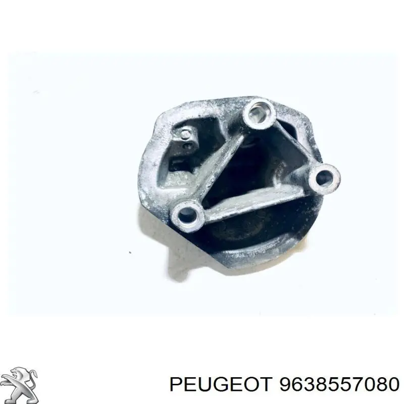 Купити 9638557080 Peugeot/Citroen 