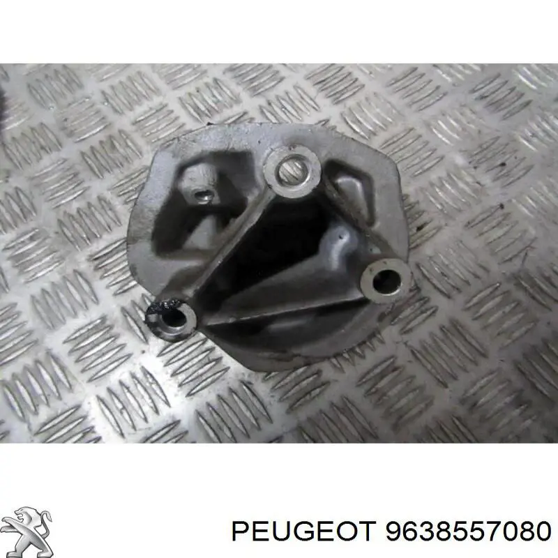 9638557080 Peugeot/Citroen 