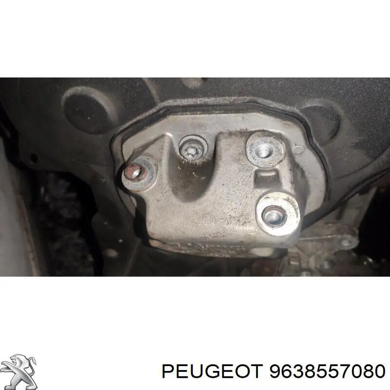  Peugeot/Citroen 9638557080 ціна, від 9.87 USD