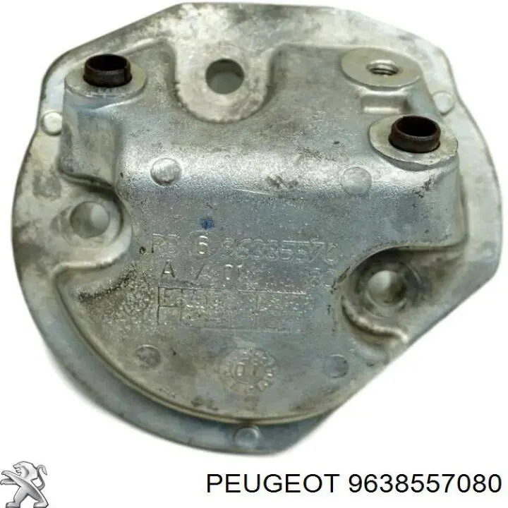  9638557080 Peugeot/Citroen