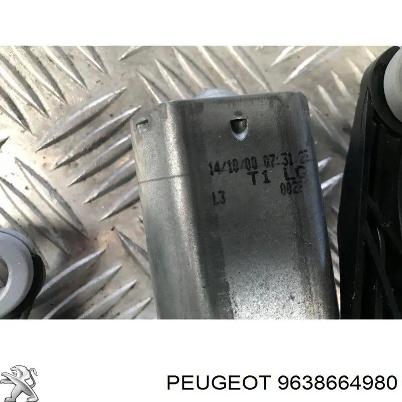 9638664980 Peugeot/Citroen 