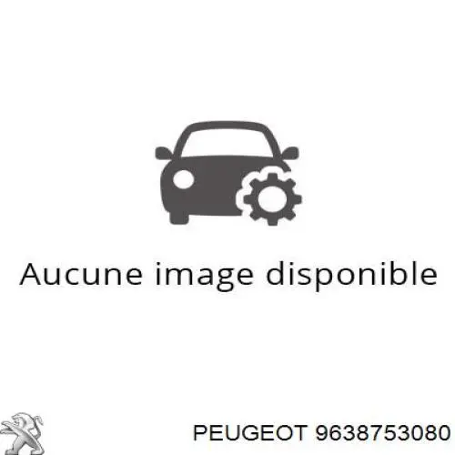  9638753080 Peugeot/Citroen