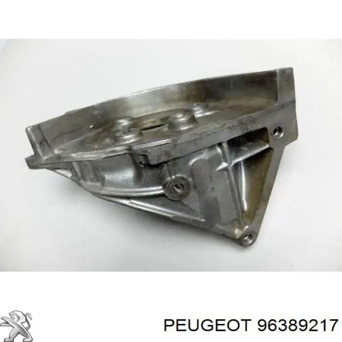  96389217 Peugeot/Citroen